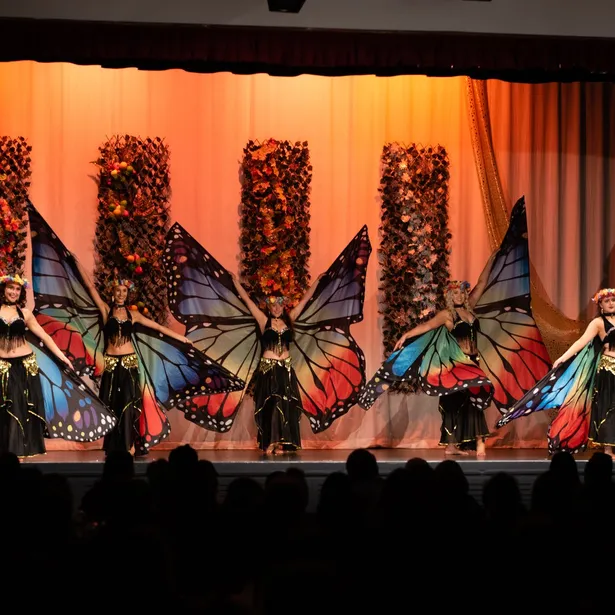 Shimmiying Flames Annual Student Showcase 2019 Image